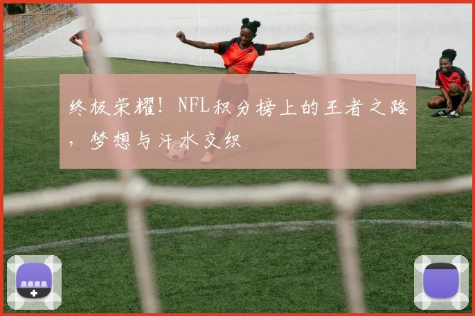 终极荣耀！NFL积分榜上的王者之路，梦想与汗水交织