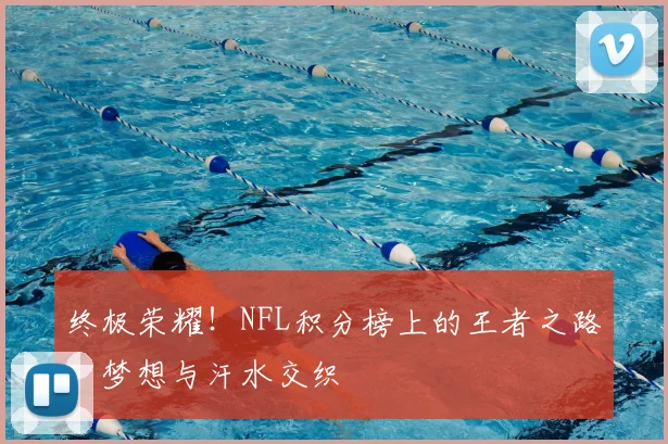 终极荣耀!NFL积分榜上的王者之路,梦想与汗水交织